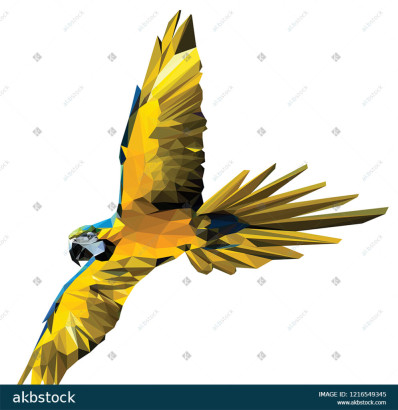 Macaw Bird Flying Low Poly