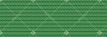 Paisley Border Stripe Pattern with White Ethnic Motifs on Rich Green Background