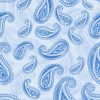 Paisley Seamless Pattern Set with Eight Elegant Colorways - Color 5
